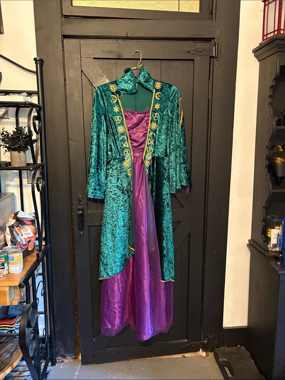Hocus Pocus Halloween Costumr Velvet Embroidered Long Cape Coat